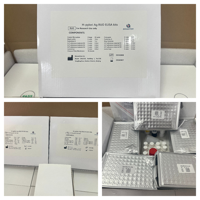 H Pylori ELISA Test Kit 480test/kit Elisa Screening Kit Kết quả