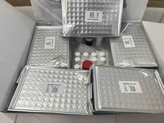 H Pylori ELISA Test Kit 480test/kit Elisa Screening Kit Kết quả