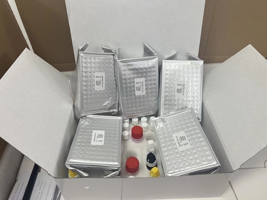 11-dehydro-thromboxane B2 11dhTxB2 ELISA Test Kit IVD Độ chính xác cao và hoạt động đơn giản