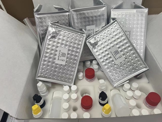 11-dehydro-thromboxane B2 11dhTxB2 ELISA Test Kit IVD Độ chính xác cao và hoạt động đơn giản