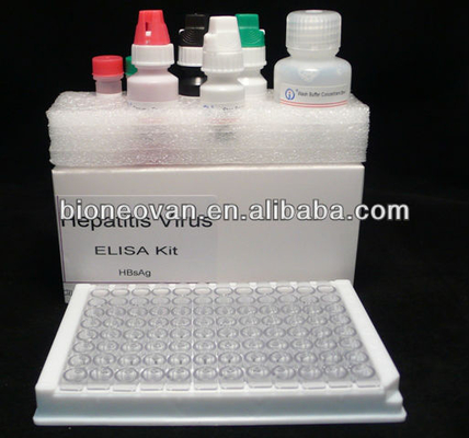 Chẩn đoán chính xác HBsAg trong 2-3 giờ với bộ thử nghiệm miễn dịch hấp thụ liên kết với enzyme