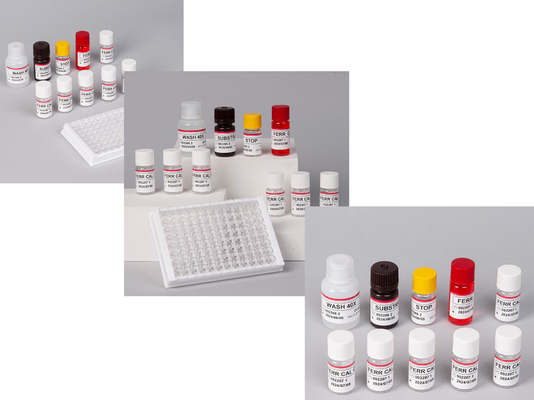 Phòng thí nghiệm hoặc bệnh viện High Precision Human ferritin FE ELISA TEST KIT