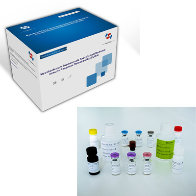 Bộ thử nghiệm ELISA IGRA dễ bị lao với thời gian sử dụng dài và phương pháp bảo quản 2C-8C