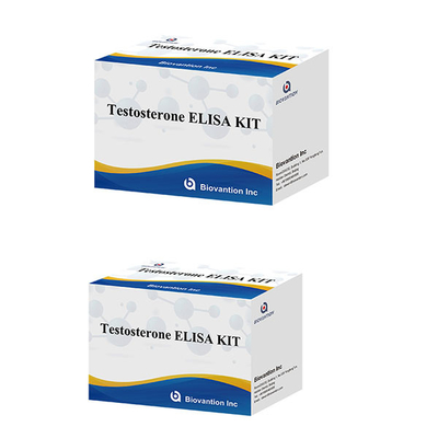 Hormone tình dục nam Hormone testosterone Kit xét nghiệm Elisa định lượng cho chẩn đoán