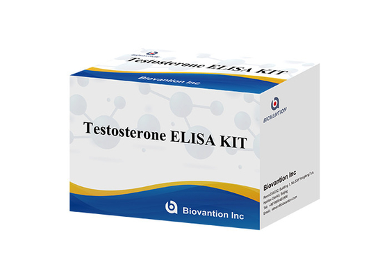 Hormone tình dục nam Hormone testosterone Kit xét nghiệm Elisa định lượng cho chẩn đoán