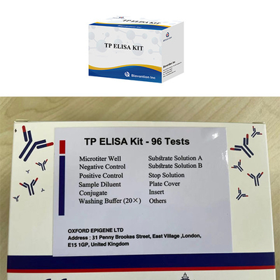 Đàn ông và phụ nữ nhiễm trùng cao bệnh giang mai TP Ab kháng thể ELISA thử nghiệm