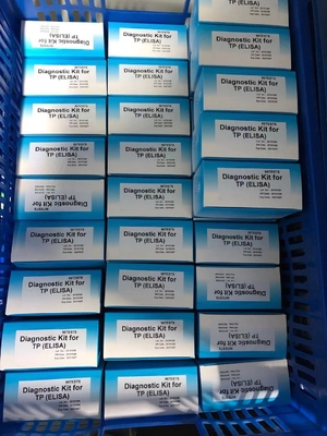Anti-TP Treponema Pallidum ELISA Test Kit Serum / Plasma Chẩn đoán y tế