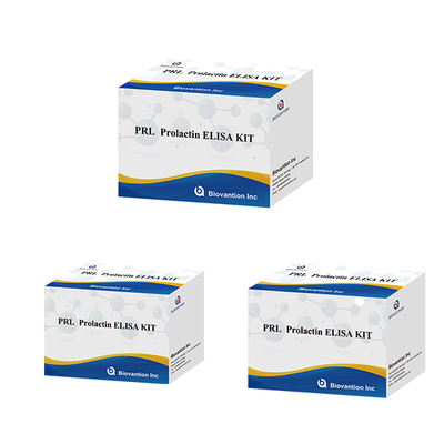 Bệnh viện Phòng thí nghiệm Phòng khám sử dụng Prolactin định lượng miễn dịch ELISA TEST KIT