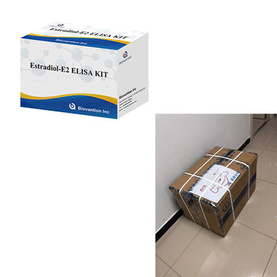 Đối với phòng thí nghiệm hoặc bệnh viện High Accuracy Estradiol Elisa Test Kit