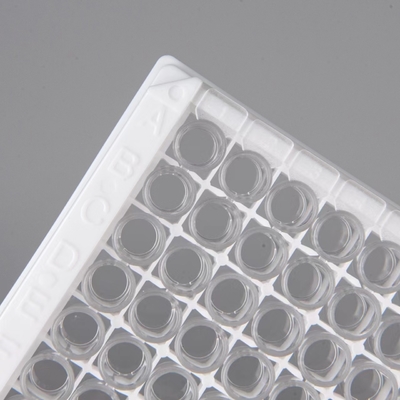 Bệnh viện Phòng thí nghiệm Phòng khám sử dụng Progesterone Kiểm tra miễn dịch định lượng ELISA KIT