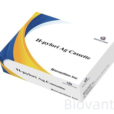Bệnh dạ dày và ruột Colloidal Gold Rapid Test 25/50 Thử nghiệm với thời gian đọc 5-15 phút