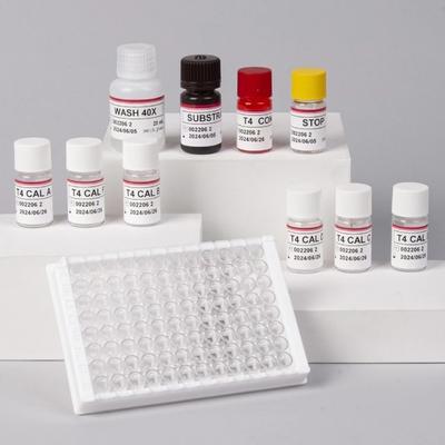 Thử nghiệm hormone tuyến giáp thường sử dụng T4 Triiodothyronine ELISA TEST KIT