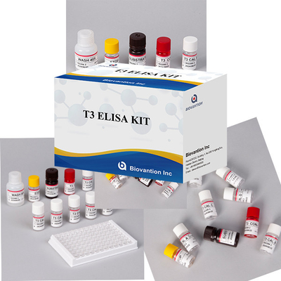 Phòng thí nghiệm Bệnh viện Phòng khám Được sử dụng rộng rãi T3 Triiodothyronine ELISA TEST KIT