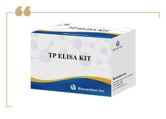 96T Chẩn đoán dung dịch kháng thể giang mai Enzyme-Linked Immunoassay Elisa Test Kit