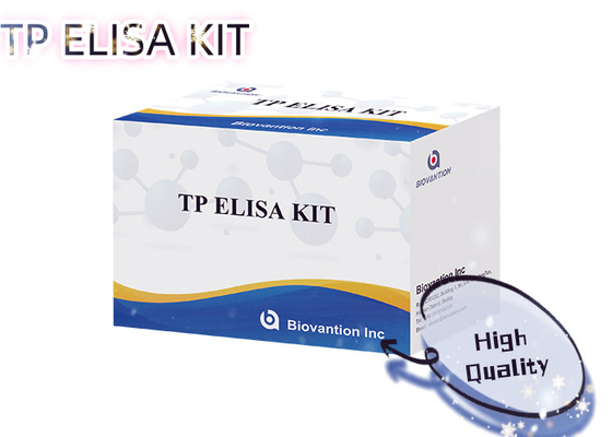 96T Chẩn đoán dung dịch kháng thể giang mai Enzyme-Linked Immunoassay Elisa Test Kit