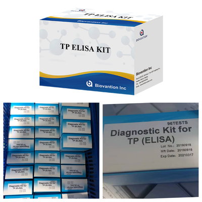 96T Chẩn đoán dung dịch kháng thể giang mai Enzyme-Linked Immunoassay Elisa Test Kit