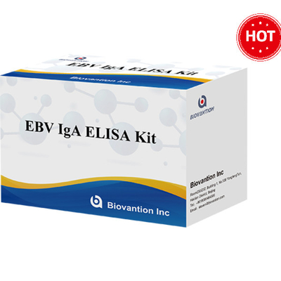 EBV-VCA IgA Ab ELISA Teat Kit Kit phát hiện miễn dịch