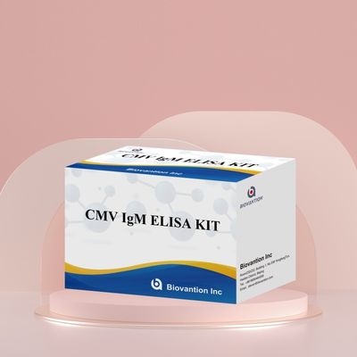 Phòng thí nghiệm hoặc bệnh viện High Accuracy CMV IgG Elisa Test Kit