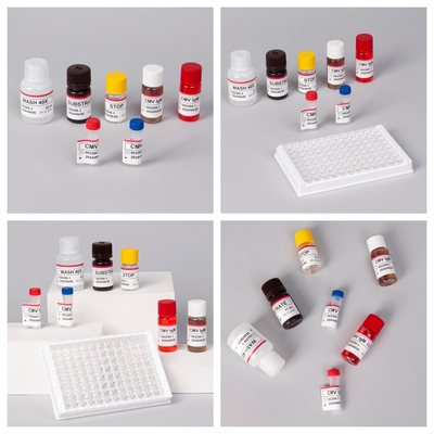Enzyme Immunoassay Reagents Elisa Test Kit để phát hiện kháng thể CMV của cytomegalovirus