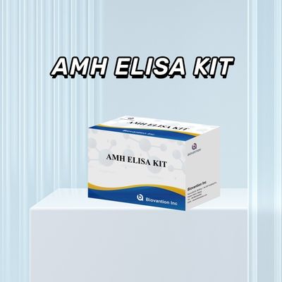 ELISA kháng hormone Mullerian