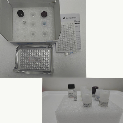 Bộ thử nghiệm TNF-α RUO Elisa cho huyết thanh với 96 xét nghiệm