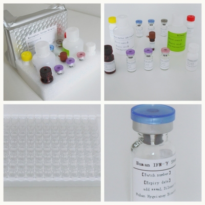 Mycobacterium Tuberculosis Thiết bị xét nghiệm Elisa