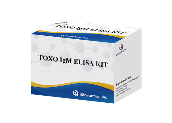TOXO Ig G Bộ thử nghiệm Elisa nhạy cảm và cụ thể để theo dõi bệnh