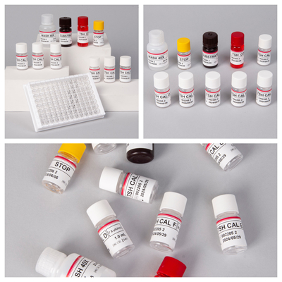 TSH ((Quantitative) Kit thử nghiệm Elisa nhạy cảm và cụ thể cho các rối loạn tuyến giáp