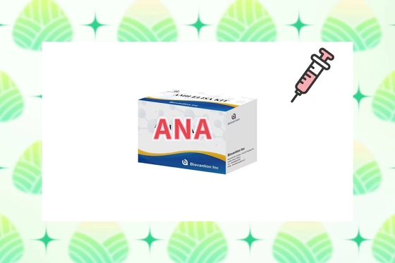 Độ nhạy ANA Screen IgG Elisa Test Kit Cho Serum/Plasma Detection Ở 2-8°C