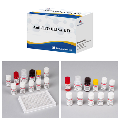 Phù hợp thử nghiệm Elisa cho chẩn đoán ở người