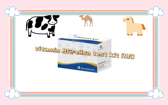 Vitamin B12 Elisa Test Kit Of Enzyme-Linked Product RESEARCH Chỉ dùng thử nghiệm trên động vật