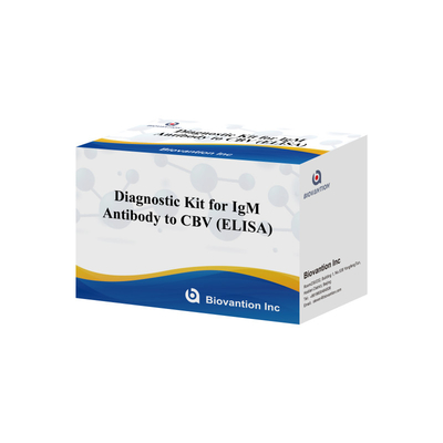 18 tháng Thời hạn sử dụng Kiểm tra miễn dịch hấp thụ liên kết với enzyme cho kháng thể IgM đối với CBV