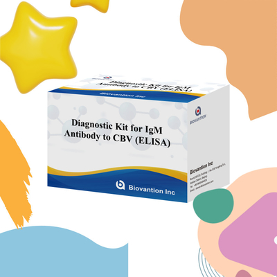 18 tháng Thời hạn sử dụng Kiểm tra miễn dịch hấp thụ liên kết với enzyme cho kháng thể IgM đối với CBV