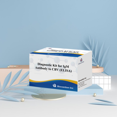 18 tháng Thời hạn sử dụng Kiểm tra miễn dịch hấp thụ liên kết với enzyme cho kháng thể IgM đối với CBV