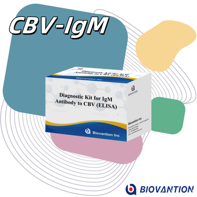 18 tháng Thời hạn sử dụng Kiểm tra miễn dịch hấp thụ liên kết với enzyme cho kháng thể IgM đối với CBV