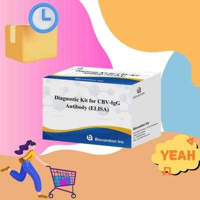Bộ chẩn đoán nhạy cảm cho CBV-IgG Kháng thể con người phát hiện Bộ Elisa để phát hiện loại mẫu chính xác