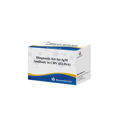 Bộ chẩn đoán nhạy cảm cho CBV-IgG Kháng thể con người phát hiện Bộ Elisa để phát hiện loại mẫu chính xác