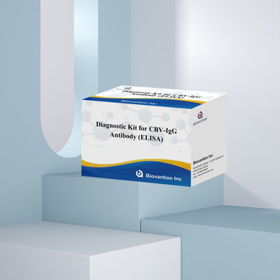 Bộ chẩn đoán nhạy cảm cho CBV-IgG Kháng thể con người phát hiện Bộ Elisa để phát hiện loại mẫu chính xác