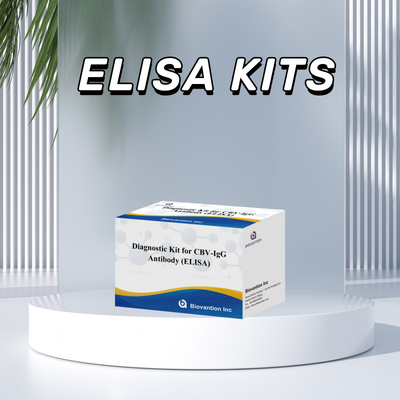 Bộ chẩn đoán nhạy cảm cho CBV-IgG Kháng thể con người phát hiện Bộ Elisa để phát hiện loại mẫu chính xác