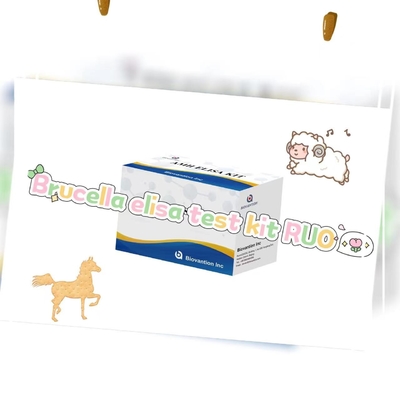 Thiết bị thử nghiệm Brucella elisa RUO Elisa Thiết bị thử nghiệm của sản phẩm liên quan đến enzyme RESEARCH Chỉ sử dụng thử nghiệm trên động vật