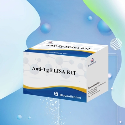 Bộ chẩn đoán Elisa cho kháng thể kháng thyroglobulin của con người