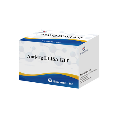 Bộ chẩn đoán Elisa cho kháng thể kháng thyroglobulin của con người