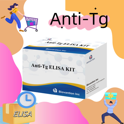 Bộ chẩn đoán Elisa cho kháng thể kháng thyroglobulin của con người