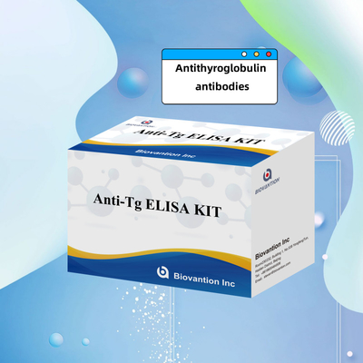 Bộ chẩn đoán Elisa cho kháng thể kháng thyroglobulin của con người