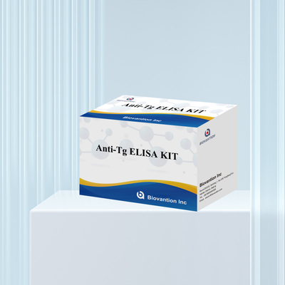 Bộ chẩn đoán Elisa cho kháng thể kháng thyroglobulin của con người