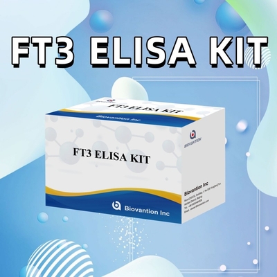 FT3 Triiodothyronine miễn phí cho các bộ dụng cụ chẩn đoán cho con người với thử nghiệm ELISA 96T cho phòng thí nghiệm bệnh viện lâm sàng