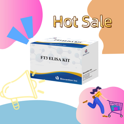 FT3 Triiodothyronine miễn phí cho các bộ dụng cụ chẩn đoán cho con người với thử nghiệm ELISA 96T cho phòng thí nghiệm bệnh viện lâm sàng