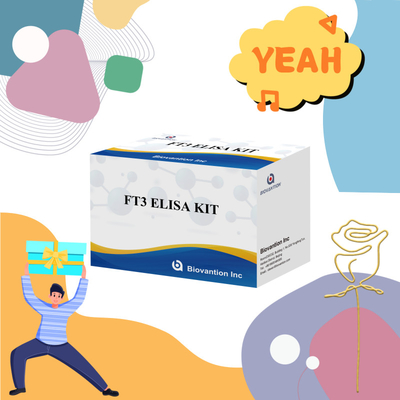 FT3 Triiodothyronine miễn phí cho các bộ dụng cụ chẩn đoán cho con người với thử nghiệm ELISA 96T cho phòng thí nghiệm bệnh viện lâm sàng