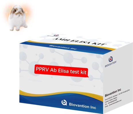 Peste Des Petits Ruminants PPRV Ab ELISA Kit Bộ thử nghiệm thú y