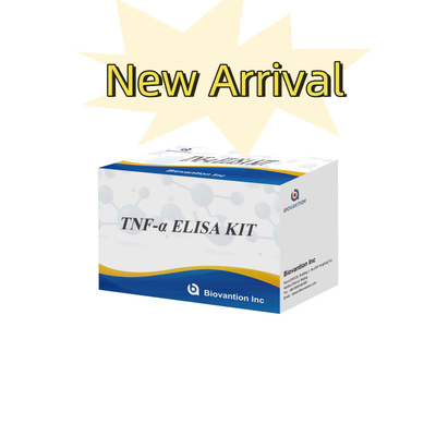 TNF-α RUO Elisa Test For Serum Plasma Giải pháp chẩn đoán chính xác và thuận tiện cho nghiên cứu